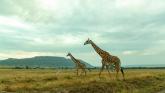 Masai Mara: In wildlife heaven
